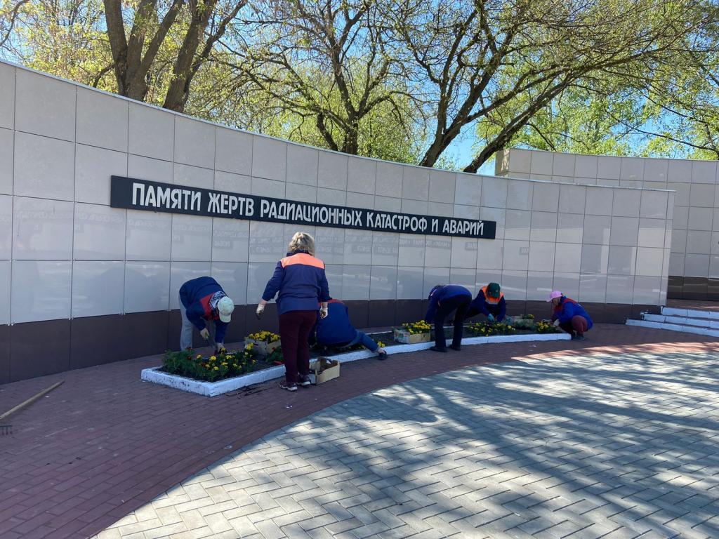 На клумбы Йошкар-Олы начали высаживать цветы | 17.05.2024 | Йошкар-Ола -  БезФормата