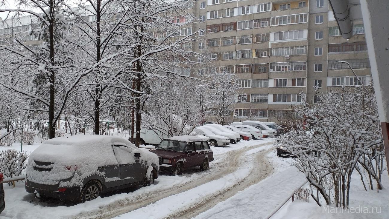 По мере надобности из под дивана выйти вслед за посетителем