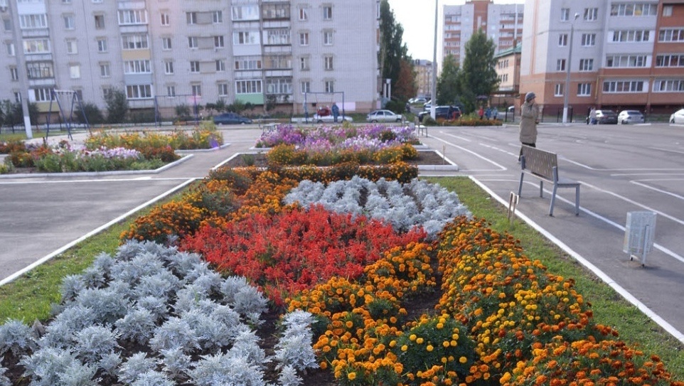 Седум клумба в городе на площади