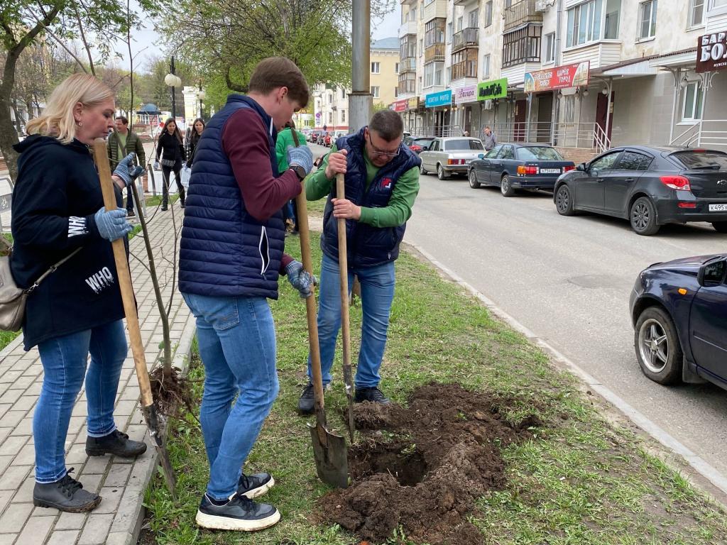 Кустов новости. Аллея с саженцами деревьев. Фото аллея саженцы. Аллеи с саженцами в Сколково. 10 Сажен.