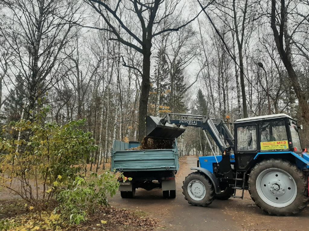 В парке культуры и отдыха в Йошкар-Оле высаживают многолетники | Новости  Йошкар-Олы и РМЭ