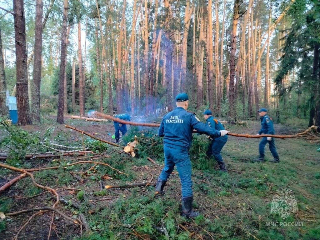 На места происшествий у озёр Яльчик и Таир привлечены 93 спасателя и 30  единиц техники | Новости Йошкар-Олы и РМЭ