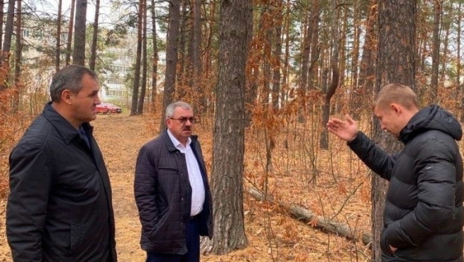 В лесном массиве в Волжске подсветят тропинки