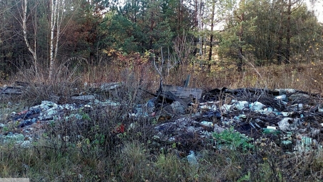 В Волжском районе на землях, принадлежащих птицефабрике, обнаружили свалку ТКО