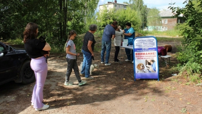 В Йошкар-Оле в частном секторе будут бесплатно вакцинировать животных