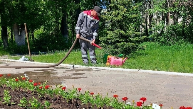 Волжск украсят несколькими тысячами цветов