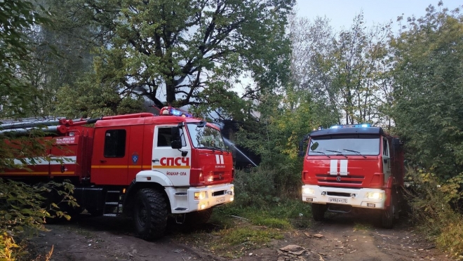 Пожары в Марий Эл за неделю унесли жизни троих человек