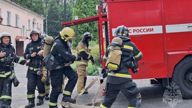 В Марий Эл за неделю с мест пожаров было спасено три человека