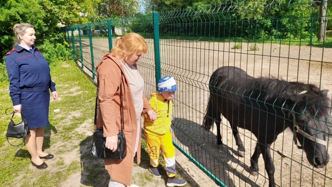 Сотрудники Следкома Марий Эл сводили в зоопарк ребёнка, чей папа участвует в СВО