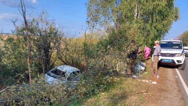 В Моркинском районе в серьёзном ДТП пострадали 7-летний мальчик и годовалый малыш