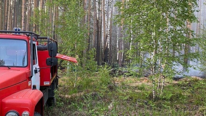 В Кокшайском лесничестве из-за грозы возник лесной пожар