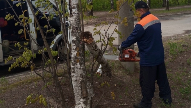 В Йошкар-Оле ливень топил улицы, ветер рвал контактные линии и валил деревья