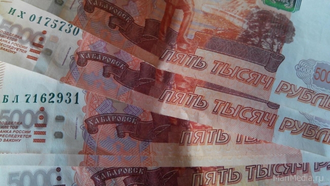 Председателя СНТ привлекли к уголовной ответственности за долг перед «ТНС энерго Марий Эл»