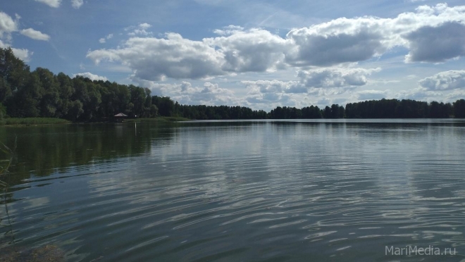 В чистых водоёмах Кировской области заметили краснокнижную рыбу