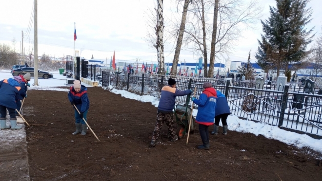 На Аллее героев Туруновского кладбища высадят ели