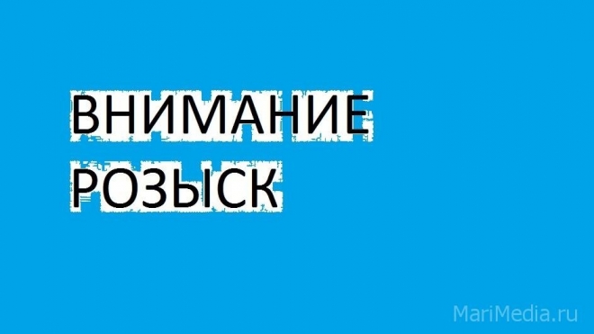 В Сенькино водитель сбил 38-летнюю женщину и скрылся