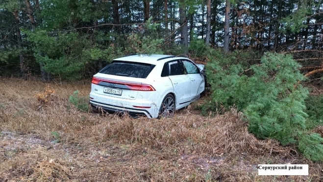 В Сернурском районе 44-летний водитель Audi вылетел в кювет и врезался в дерево