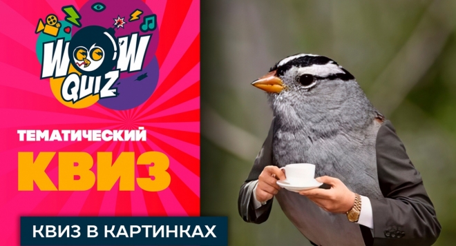 Квиз в картинках