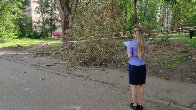 Четырёхлетняя девочка погибла на глазах мамы и старшей сестры