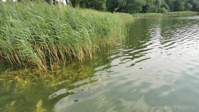 Какими болезнями можно заразиться во время купания в стоячих водоёмах