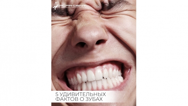 5 удивительных фактов о зубах