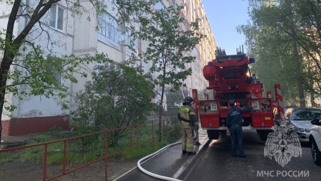 В Марий Эл на неделе на пожарах погибли три человека