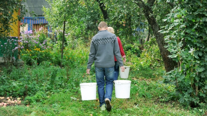 В Марий Эл в Кузнецово, Медведево и Оршанке отключили свет и воду