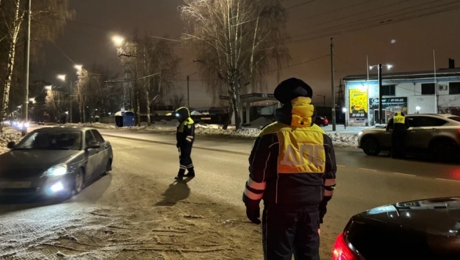 С начала года на дорогах Марий Эл поймали около 30 нетрезвых водителей