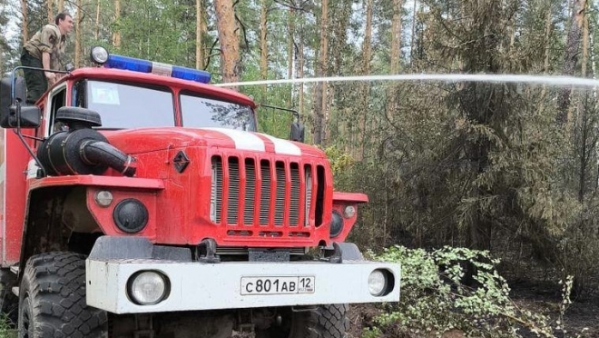 В Звениговском районе по вине людей горел лес