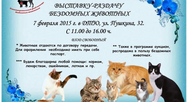 Выставка-раздача бездомных животных