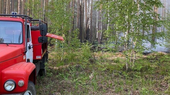 В Марий Эл служба лесоохраны продолжает работать в усиленном режиме