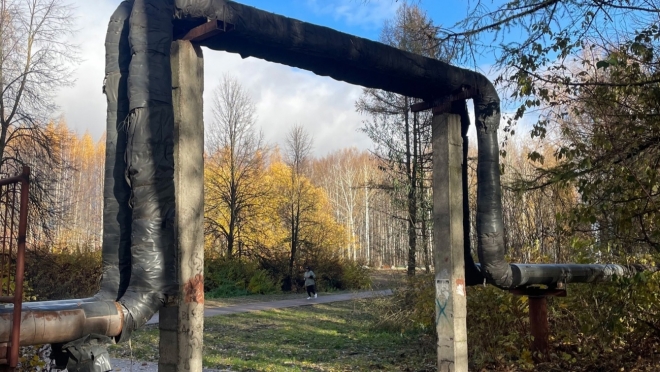 В Тархановском парке в Йошкар-Оле планируют демонтировать теплотрассу