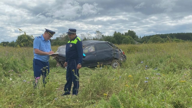 В Новоторъяльском районе пьяный водитель перевернулся в кювет