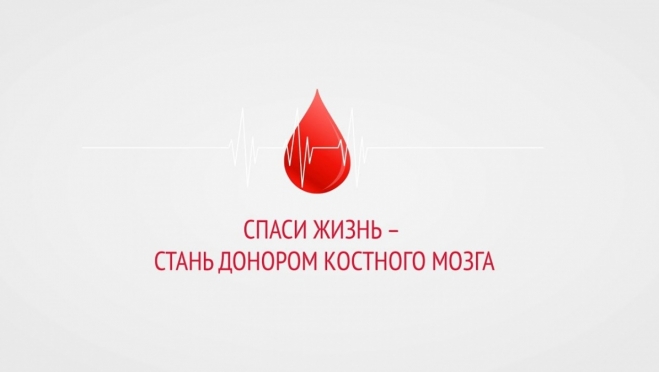 Студентов МарГУ приглашают вступить в регистр доноров костного мозга