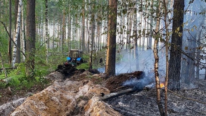 Два лесных пожара произошли в выходные дни в Марий Эл