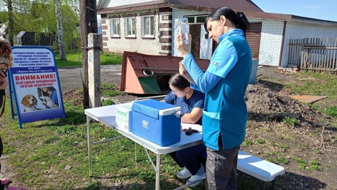 Жители Семёновки смогут вакцинировать бесплатно домашних животных против бешенства