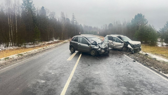 В ДТП в Параньгинском районе пострадали шесть человек