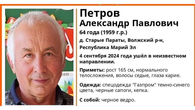 В Волжском районе ищут 64-летнего Александра Петрова