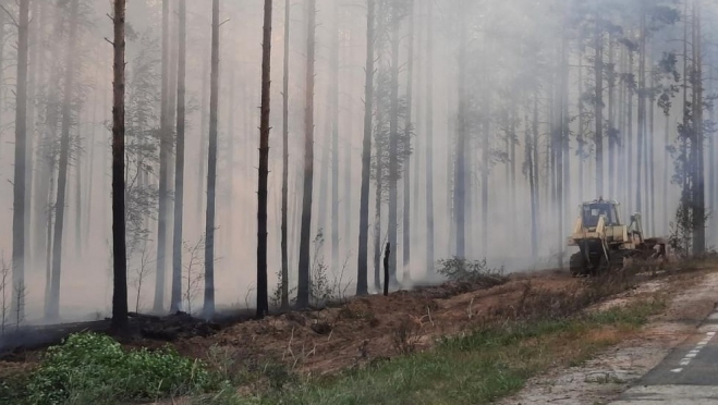 В Марий Эл сохраняется высокий класс пожароопасности лесов