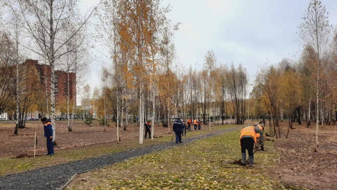 Йошкаролинцы предлагают свои решения по озеленению города