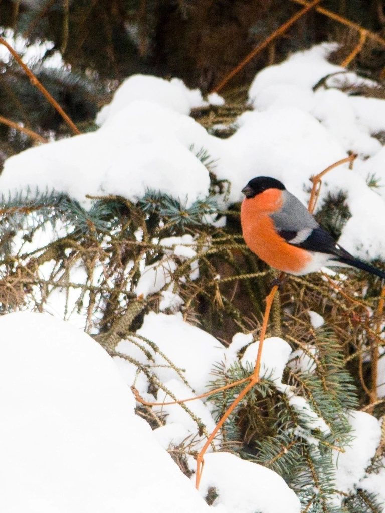 WSzaQQVh2x4piBTka50KSTVF6Zheuml2ckw5wbLtjHGJf8DQwtWxnAldotoQZ11f8-ZNEjBfQIm0yZPmO9q2hAPl.jpg WSzaQQVh2x4piBTka50KSTVF6Zheuml2ckw5wbLtjHGJf8DQwtWxnAldotoQZ11f8-ZNEjBfQIm0yZPmO9q2hAPl.jpg